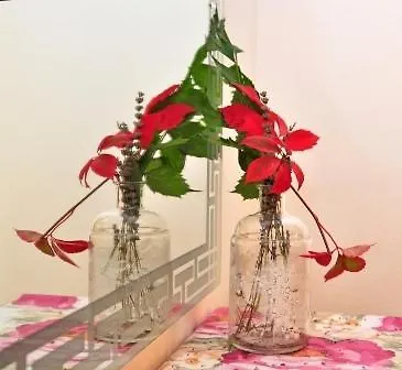 Apartment In Sukosan With Terrace, Air Conditioning, Wifi 654-4